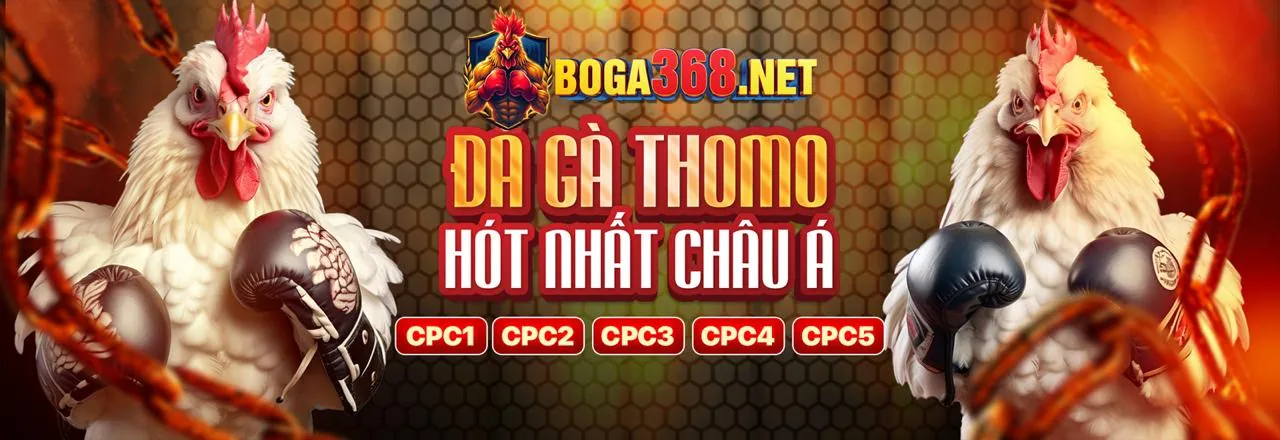Các tính năng nổi bật của ứng dụng link kubet